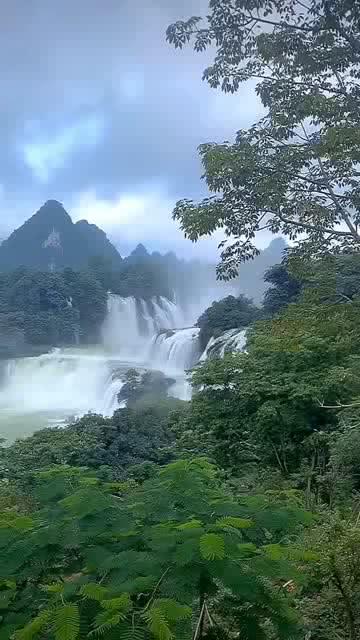豆娃勇士3